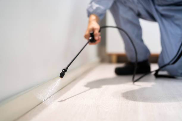 Licensed Pest Control service in Cheshire Village, CT - Show Me Pest Control