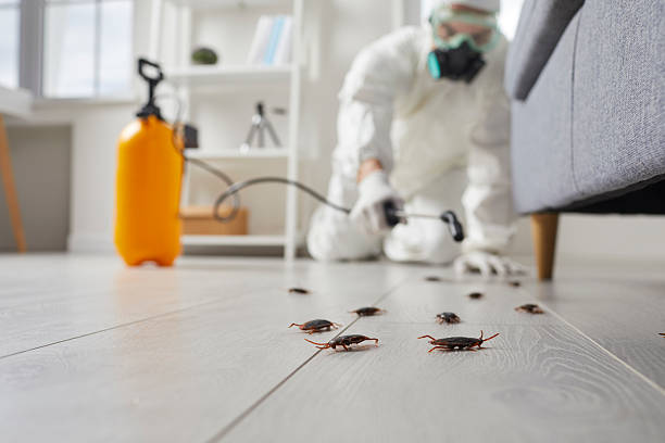 Post-Treatment Bed Bug Interceptor Monitoring in Cheshire Village
